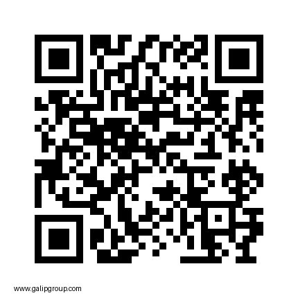Website QR Code